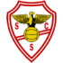 home-team
